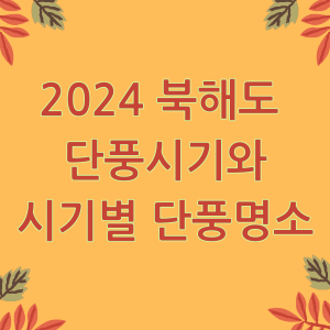 북해도 단풍